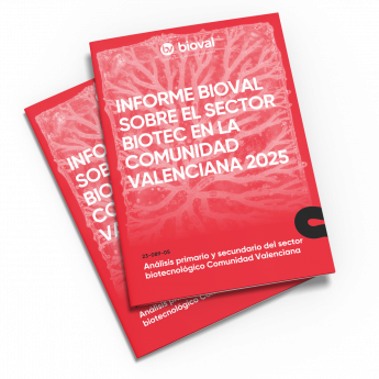 informe 2